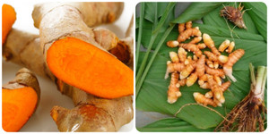 Tác hại của việc dùng nhiều nghệ