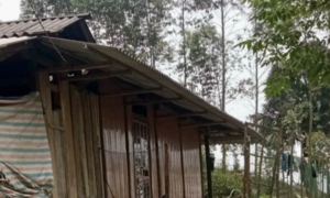 Bé 11 tháng tuổi tử vong sau khi tiêm thuốc ở bệnh viện