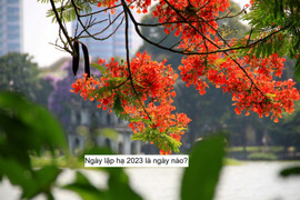 Ngày Lập hạ 2023 là ngày nào? 
