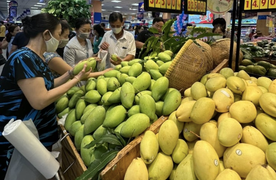 Giá bán siêu tốt, Co.opmart dự ước tiêu thụ hơn 200 tấn xoài Đồng Tháp