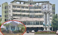 Hàng loạt khu 'đất vàng' thành bãi đậu xe, nơi chăn bò ở Gia Lai