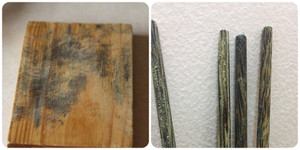 7 vật dụng trong nhà tiềm ẩn nguy cơ gây ung thư bạn không ngờ đến