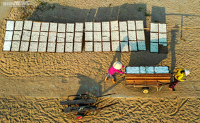 Kỳ công nghề làm bún Song Thằn tiến vua ở Bình Định