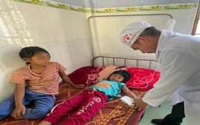 Người mẹ ở Quảng Trị hái nấm rừng về nấu ăn khiến 2 con bị ngộ độc