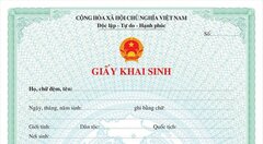 Hồ sơ đăng ký khai sinh gồm những gì? 
