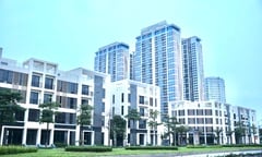 Có 3 tỷ đồng, nên mua chung cư hay nhà đất?
