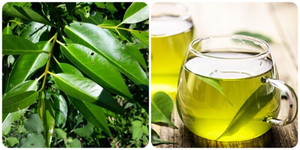 Nước vối cực tốt nhưng cũng ‘cực độc’ nếu bạn làm những điều dưới đây