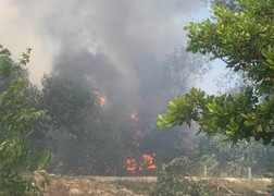 Cháy hơn 20 hecta rừng phòng hộ Pacsa ở Quảng Nam