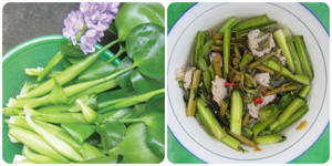 Bèo tây có ăn được không?