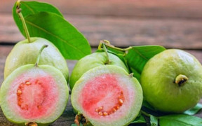 Ổi cực tốt nhưng sẽ hóa 'thuốc độc' với 4 nhóm người dưới đây