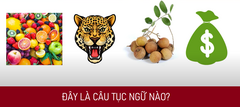 Thử thách đuổi hình bắt chữ đoán ca dao tục ngữ