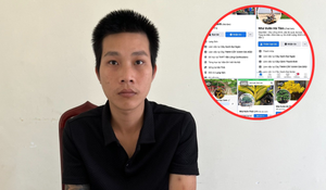 Lừa bán cây cảnh qua mạng xã hội, nam thanh niên chiếm đoạt hơn 300 triệu đồng