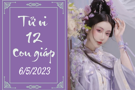 Tử vi vui 12 con giáp hôm nay ngày 6/5/2023: Mão bận rộn, Dậu năng lượng