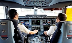 Nhân viên hàng không sử dụng chất cấm không được phục vụ trong ngành