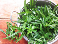 Rau ngổ có tác dụng gì?