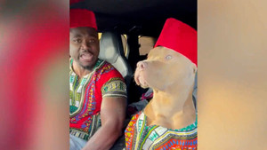 Chó cưng nhún nhảy theo nhạc cùng chủ