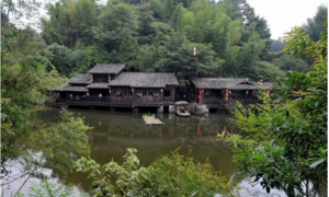 Bí ẩn ngôi làng nhiều cây, có ao tù nhưng hàng trăm năm không có muỗi