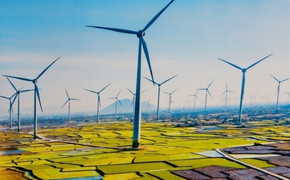 Đối tác, tổ chức quốc tế nói gì về quy hoạch điện VIII?