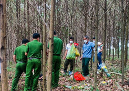 Nữ cựu chiến binh Hà Tĩnh chết trong rừng tràm gần nghĩa trang 