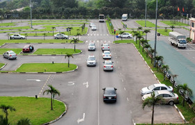 Bộ GTVT yêu cầu chấm dứt cấp giấy phép lái xe cho người nghiện ma túy