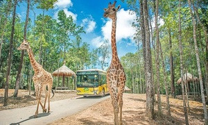 Khu vui chơi Vinpearl Phú Quốc có gì hấp dẫn?