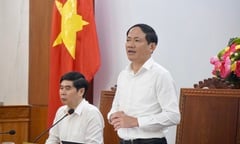 Chủ tịch tỉnh Bình Định: Gang thép Long Sơn sẽ không có sự cố như Formosa
