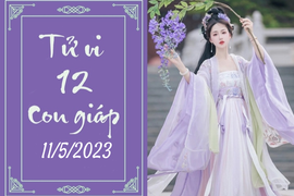 Tử vi vui 12 con giáp hôm nay ngày 11/5/2023: Tỵ nâng cấp, Ngọ kiệt sức