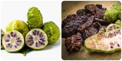 Quả nhàu khô đun nước uống có tác dụng gì?