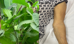 Dùng lá rừng trị táo bón, 1 người ở Nghệ An nhập viện cấp cứu