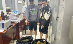 Phá đường dây trồng và phân phối cần sa khép kín, thu giữ hơn 40 kg cần sa khô