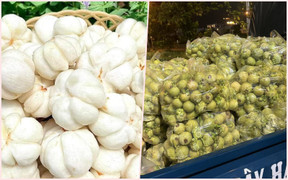 Măng cụt xanh đội giá hơn nửa triệu đồng/kg nhờ món gỏi nộm 'sốt xình xịch'