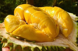 Sầu riêng Việt bán tại siêu thị Vương quốc Anh, 400 nghìn đồng/kg