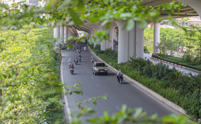 Những con đường rợp bóng mát giữa ngày Hà Nội 'đổ lửa'