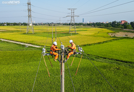 Tổng công ty Điện lực miền Bắc diễn tập phòng chống thiên tai, xử lý sự cố