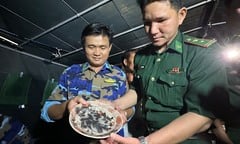 Tạm giữ nhiều gốm sứ nghi cổ vật ở vùng biển Quảng Ngãi