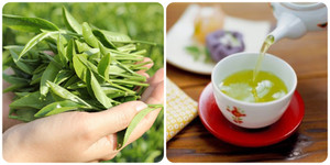 Chè tươi tốt nhưng lại 'đại kỵ' với 10 nhóm người này