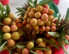 4 vạn tấn vải thiều chờ bán, có loại 90.000 đồng/kg người mua vẫn xếp hàng