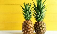 Khi mua nên chọn quả dứa dài hay ngắn?