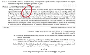 Xôn xao đề thi Văn ngôn từ nhạy cảm: Trường Lương Thế Vinh nói gì?