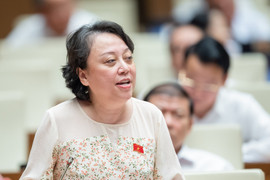 Đại biểu Quốc hội: Nhiều mặt hàng trong danh mục bình ổn giá chưa thuyết phục