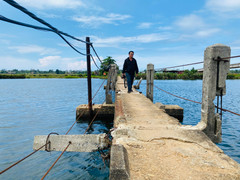 Dân đánh cược mạng sống qua cầu 'tử thần': Vì sao cầu mới chậm tiến độ?