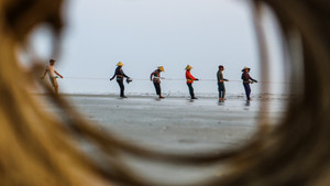 Độc đáo 'đội quân' đi giật lùi bắt cá