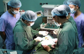 Sở Y tế TP.HCM yêu cầu BV Nhi đồng 2 không làm gián đoạn ghép gan cho trẻ