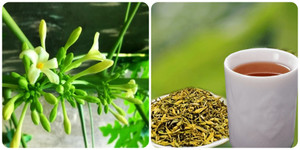 Hoa đu đủ đực cực tốt nhưng 4 nhóm người dưới đây cần tránh xa