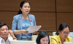 Đại biểu Quốc hội: Tăng giá điện do EVN lỗ lớn là chưa phù hợp