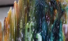 Nhặt khúc gỗ mục ven đường, ai ngờ đó là thứ quý như vàng