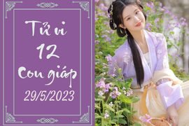 Tử vi vui 12 con giáp hôm nay ngày 29/5/2023: Tỵ phung phí, Dậu cố chấp