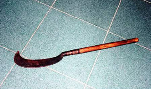 Đang ngủ cùng bạn, thiếu nữ 17 tuổi ở Quảng Ngãi bị chém chết