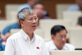 ĐBQH Nguyễn Anh Trí: Cú lừa Việt Á sắc như dao cắt