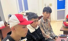 Bắt nhóm thanh thiếu niên chuyên đập kính xe, trộm thiết bị ô tô trên đường phố